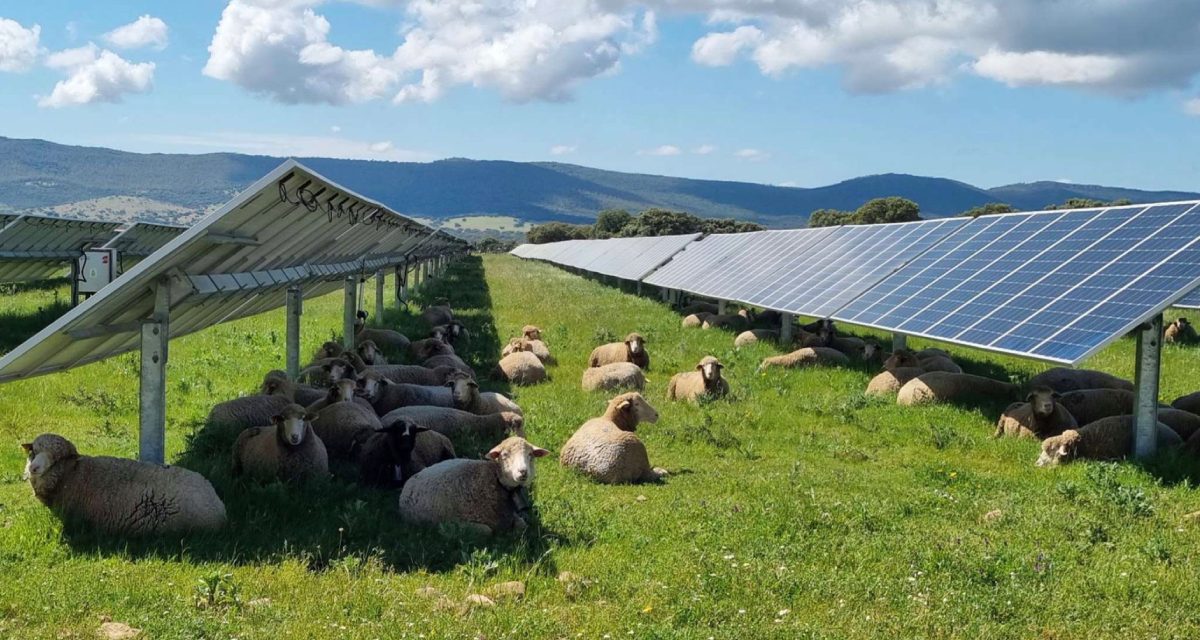 Chute-à-Blondeau Agrivoltaics project secures additional land, more than doubles in size