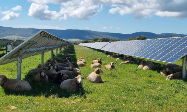 Chute-à-Blondeau Agrivoltaics project secures additional land, more than doubles in size