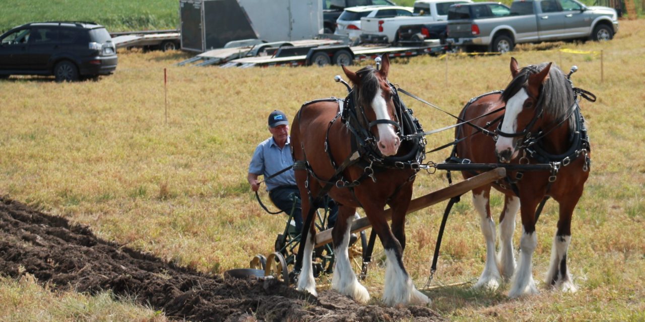 29 plows at Ottawa-Carleton Plowing Match