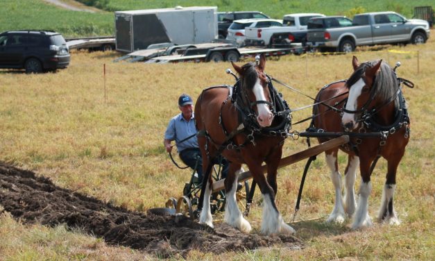29 plows at Ottawa-Carleton Plowing Match