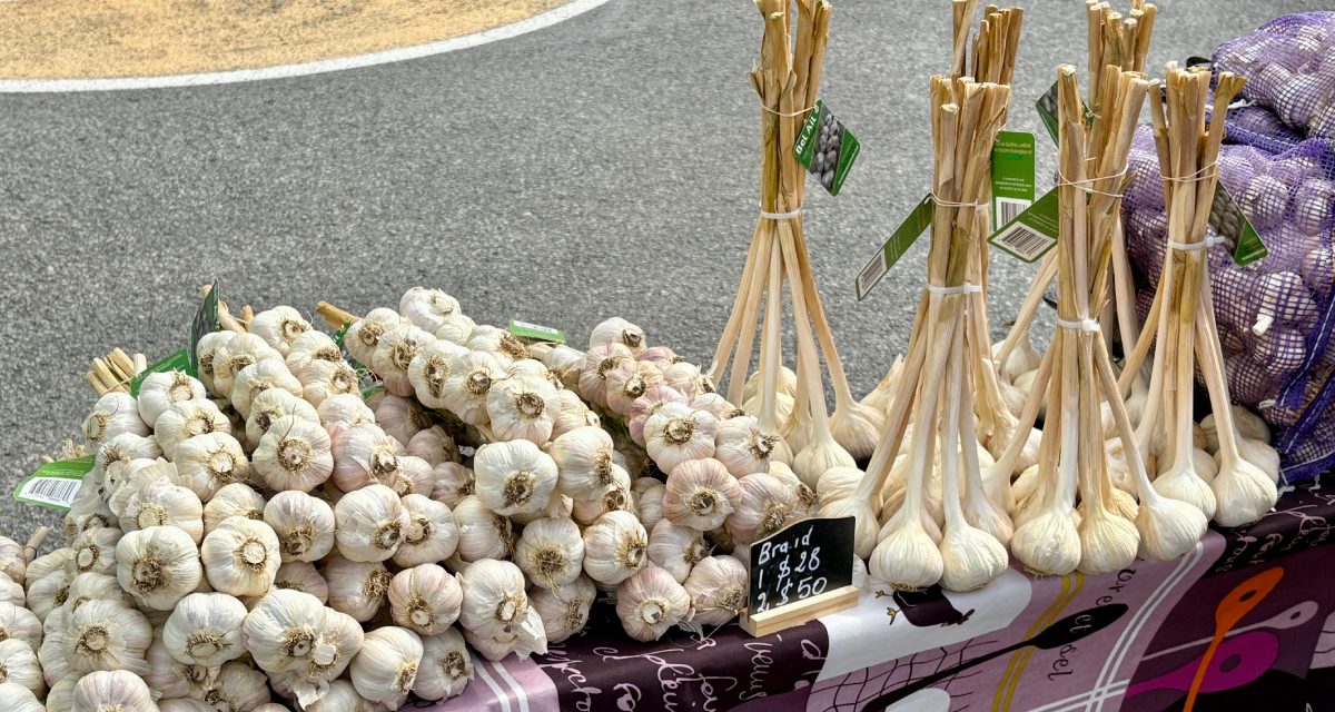 Farmers Garlic Market offered variety to shoppers