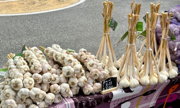 Farmers Garlic Market offered variety to shoppers
