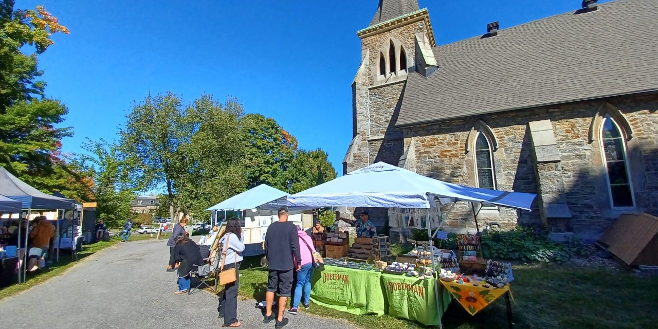 Sunshine for Art in the Garden