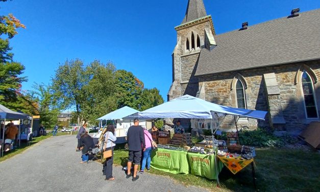 Sunshine for Art in the Garden