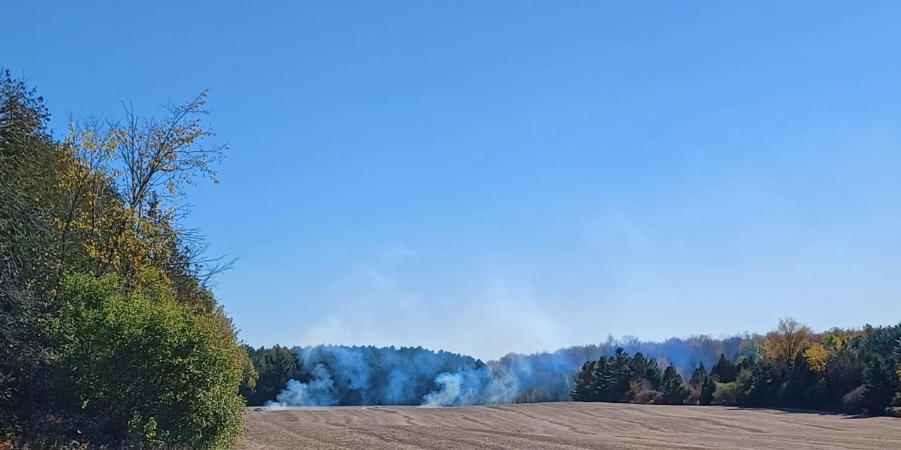 Fire in field on Breadalbane Road