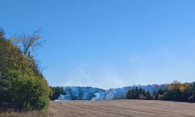 Fire in field on Breadalbane Road