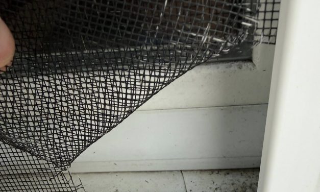 Vandalism and attempted break-ins in Vankleek Hill