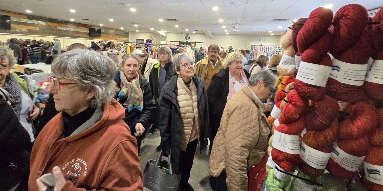 Fibre Frolic keeps hundreds of people in stitches