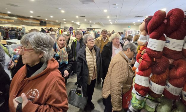 Fibre Frolic keeps hundreds of people in stitches