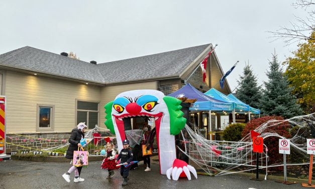 Ghosts, ghouls, and good spirits fill Brownsburg-Chatham despite rain
