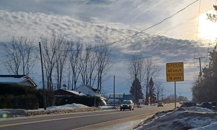 Slow down in Whisseltown