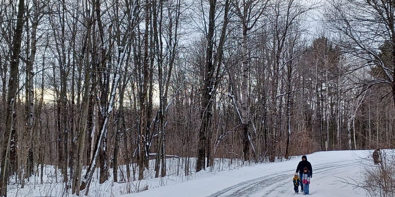 Fun in the forest around the region