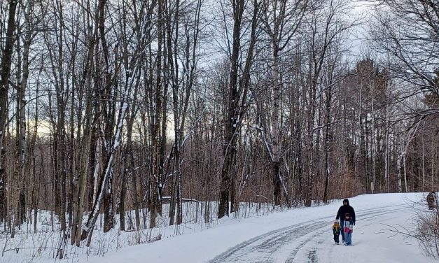 Fun in the forest around the region