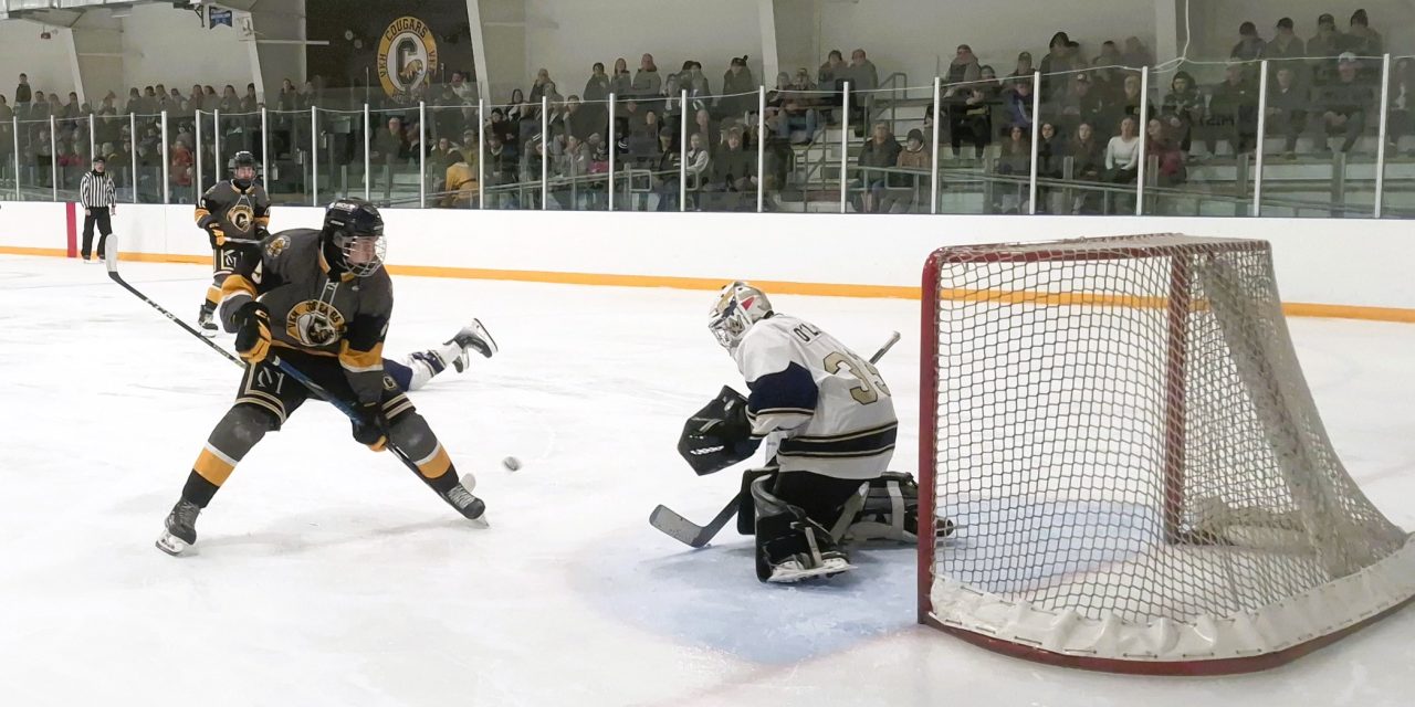 Cougars stay perfect with pair of weekend wins