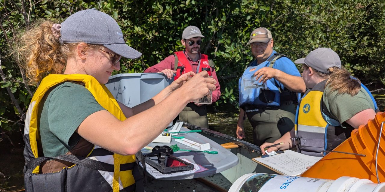 Conservation summer work offers range of experiences