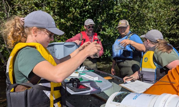 Conservation summer work offers range of experiences