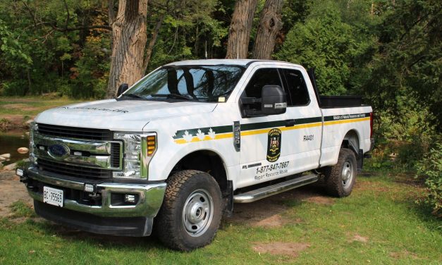 Rockland and Orléans residents fined for moose hunting violations