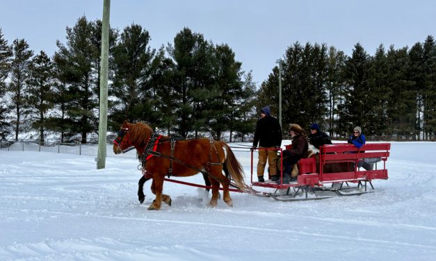 Braving the cold for community fun at St-Bernardin’s Winter Carnival