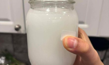 Watermain problems affect tap water appearance in Vankleek Hill
