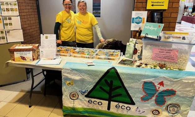 Butterflyway Project native wildflower giveaway