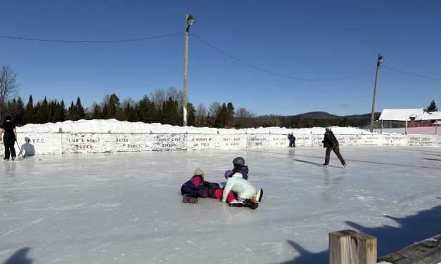 Carnival fun in Harrington