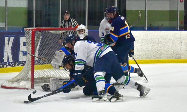 Hawks lose both Family Day weekend games