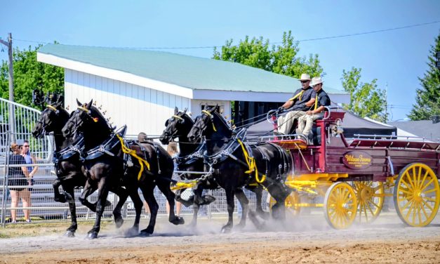 Legacy in Motion: Wilson Farms and Ontario Four announce landmark partnership for 2026 Season