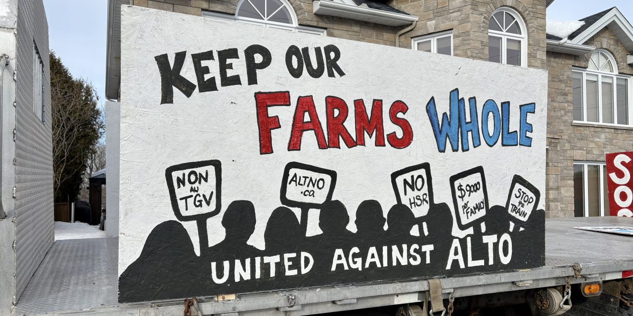 Alt-no plans next steps