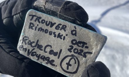 Like a rolling stone