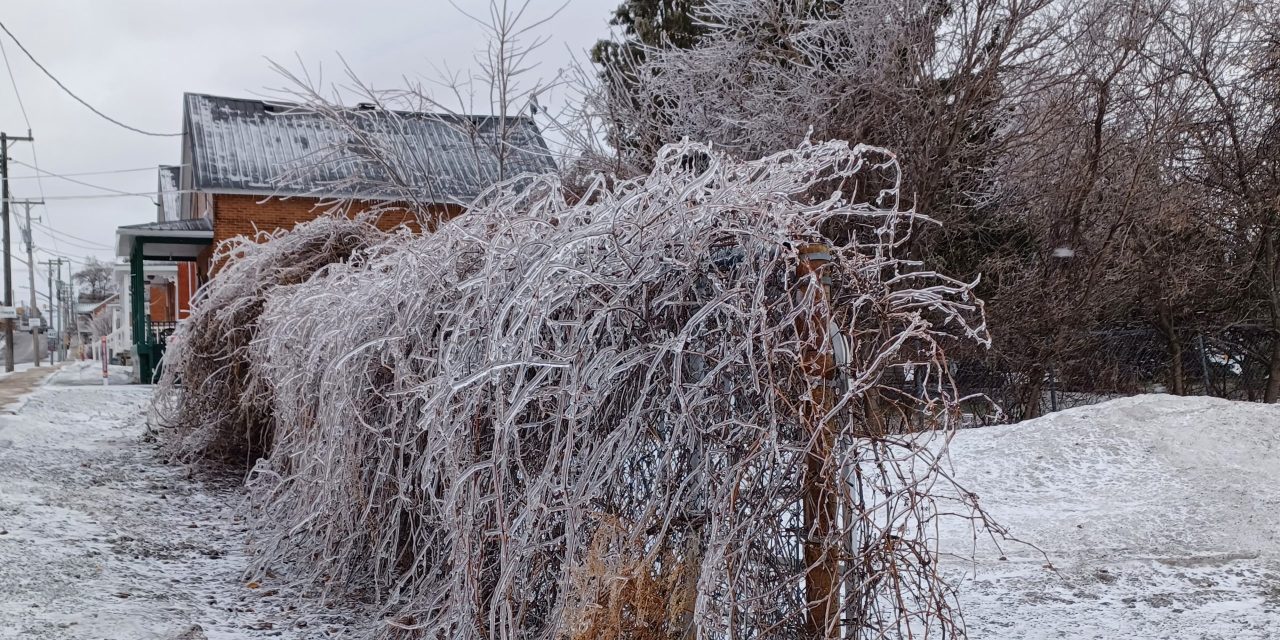 Ice looks nice, but also leaves parts of region dark