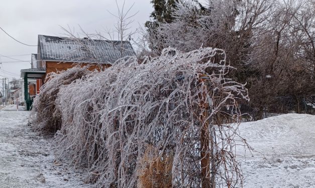 Ice looks nice, but also leaves parts of region the dark