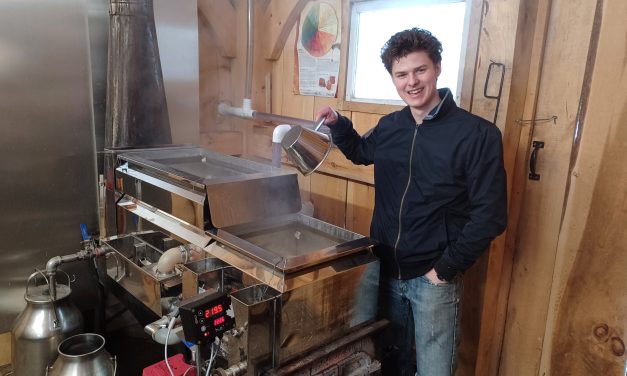 The sweetest time of year is here