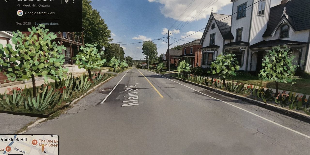 A plan to make Vankleek Hill’s Main Street green and beautiful