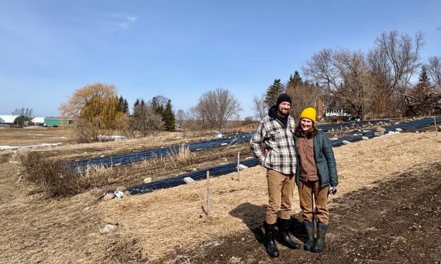 Approaching growing season with Parachute Farm