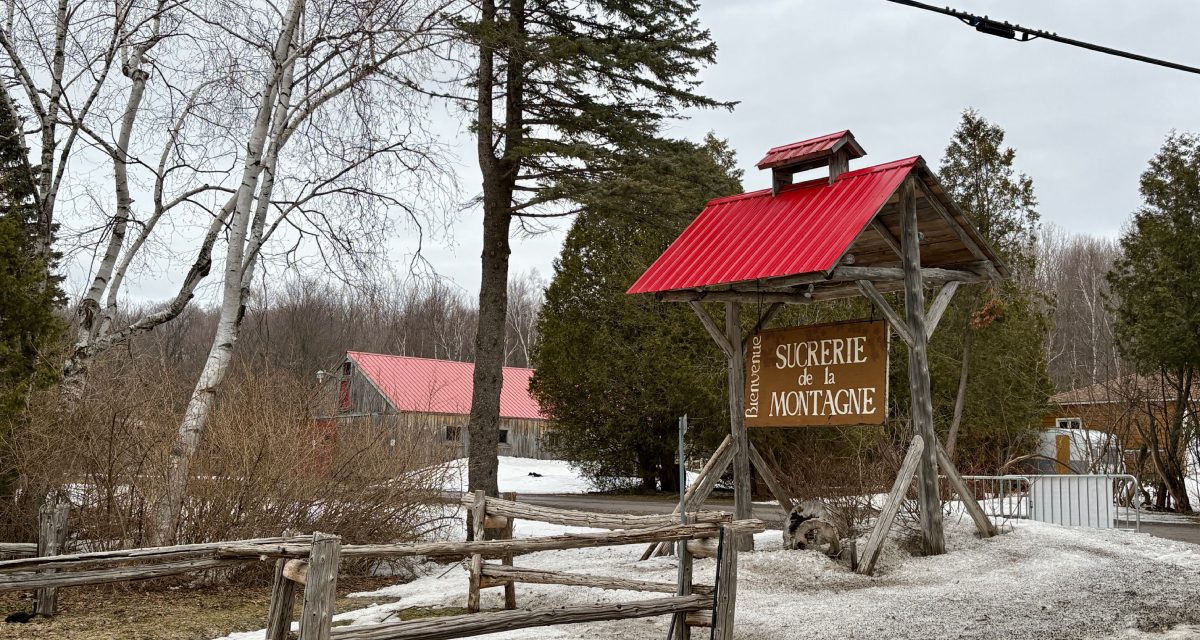 Tradition flows through generations at local maple farm