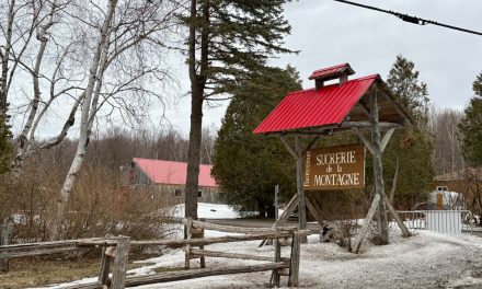 Tradition flows through generations at local maple farm