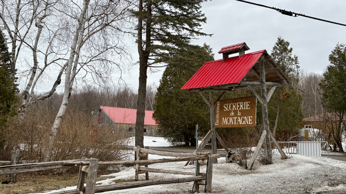 Tradition flows through generations at local maple farm