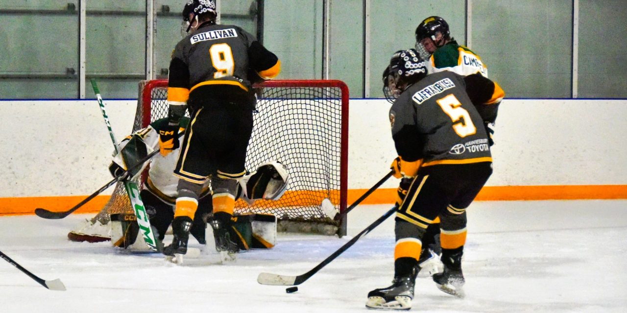 Cougars storm back to take 3-2 series lead in NCJHL finals