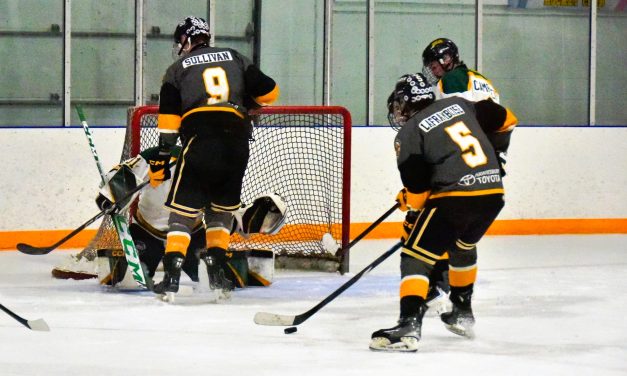 Cougars storm back to take 3-2 series lead in NCJHL finals