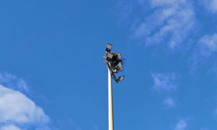Nature society wants osprey signage in Hawkesbury