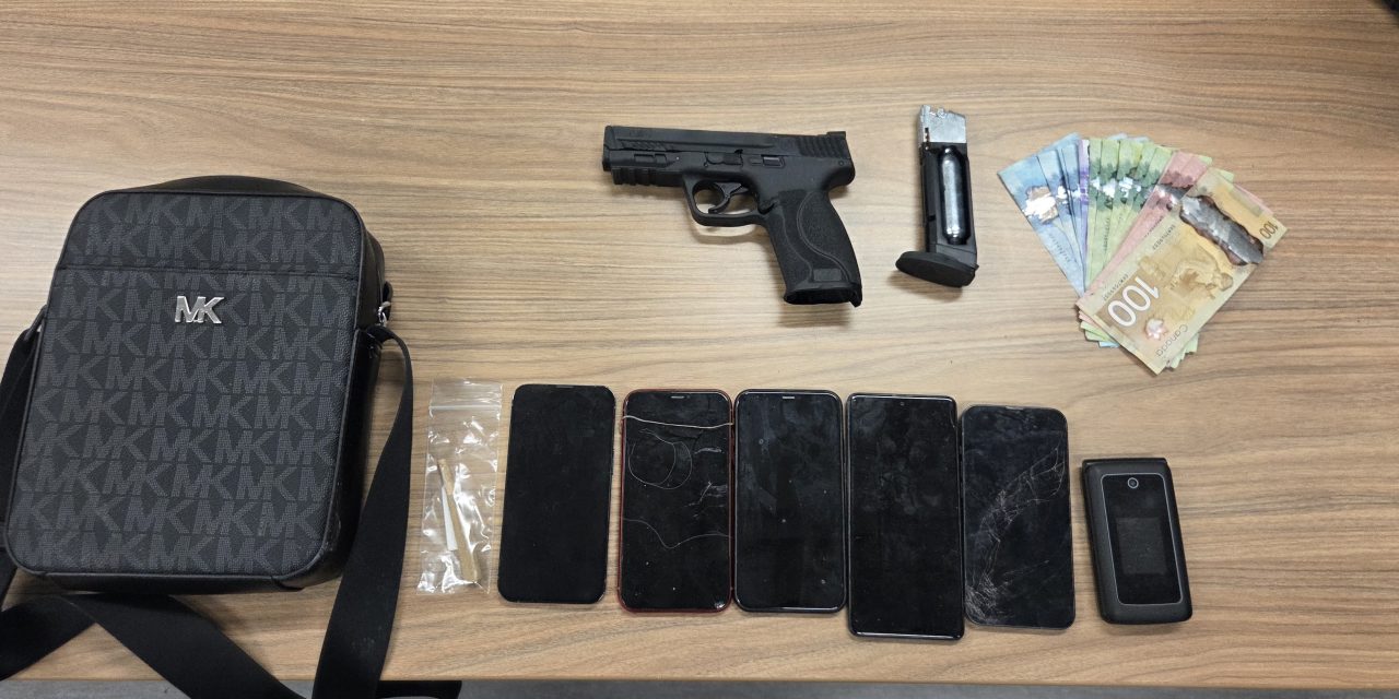 Multiple charges in Highway 417 traffic stop