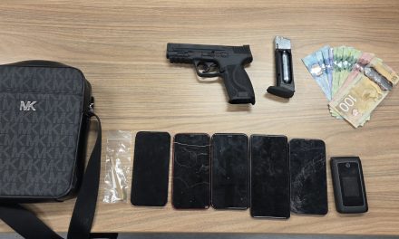 Multiple charges in Highway 417 traffic stop
