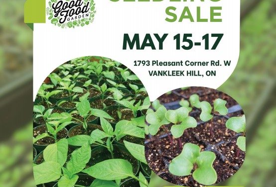 Seedling Sale