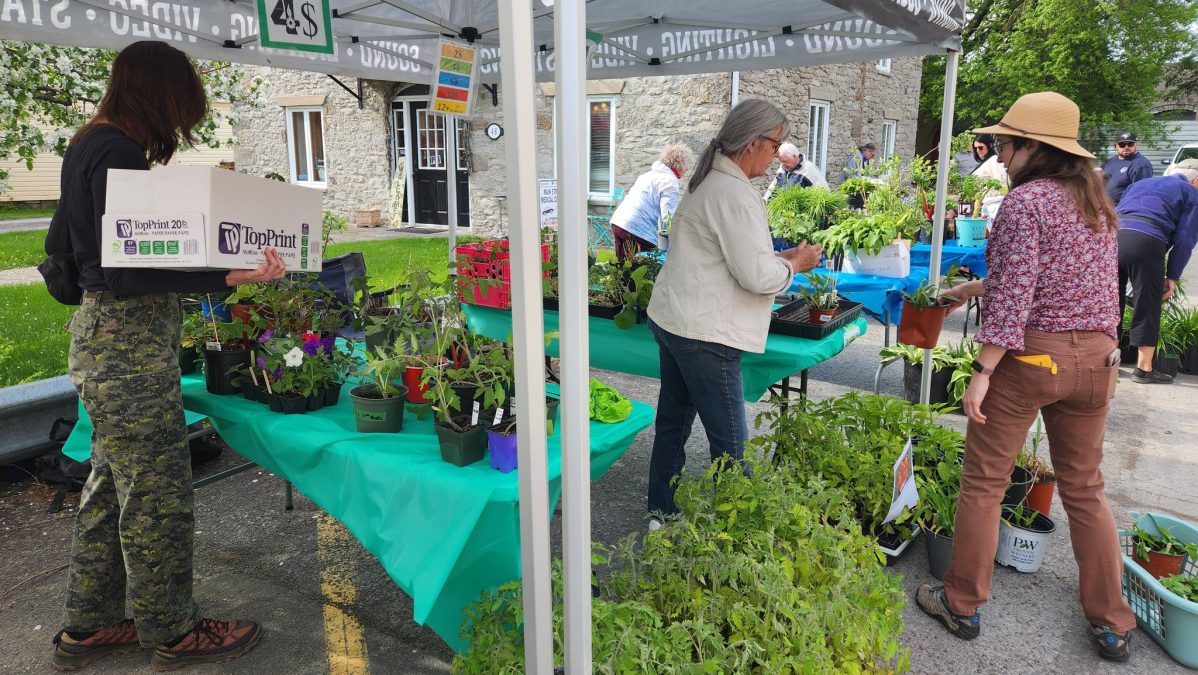Gardeners galore at plant sale