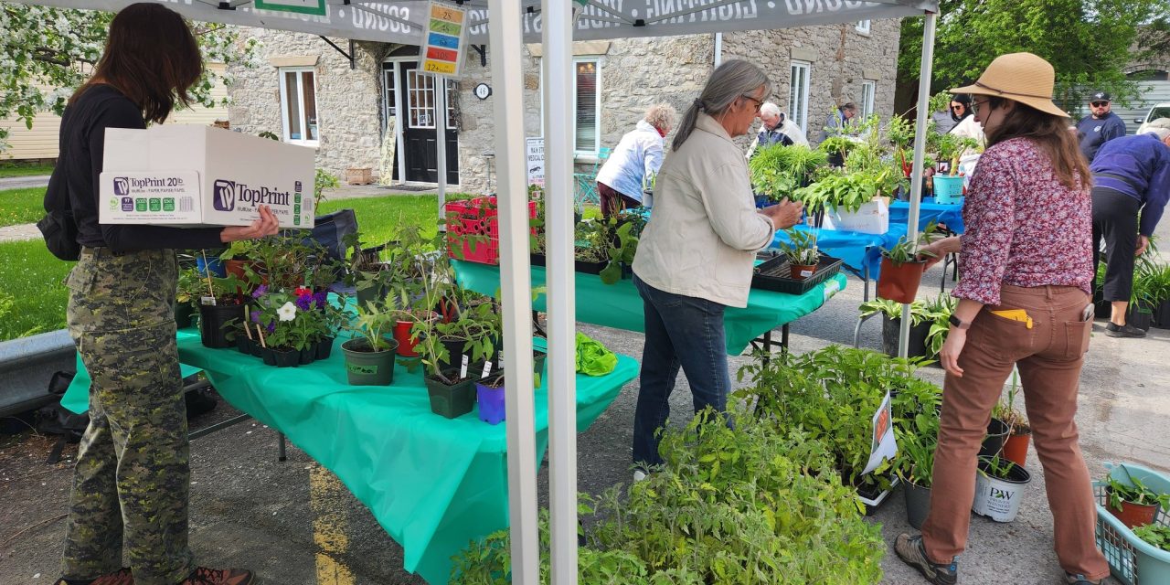Gardeners galore at plant sale