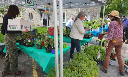 Gardeners galore at plant sale