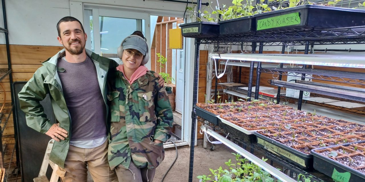 Good Food Garden grows into new management