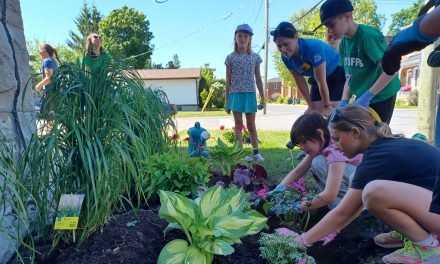 A garden of good in Vankleek Hill