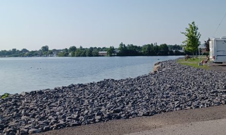Councillors ask questions about Confederation Park in Hawkesbury