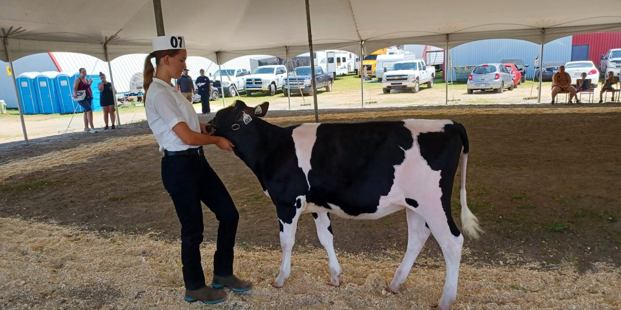 Farming-inspired fun at the Lachute Fair